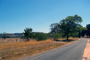 HUCKERBY property