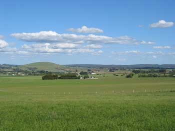 Forrest Hill Road