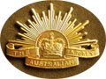 WW1 badge