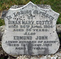 Dinah Cotter headstone